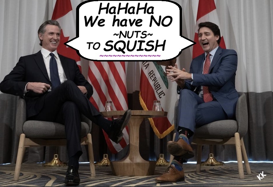 Trudeau Newsom 